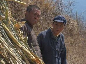 老农民电视剧剧情介绍,岁月流转，耕读传家的农村传奇